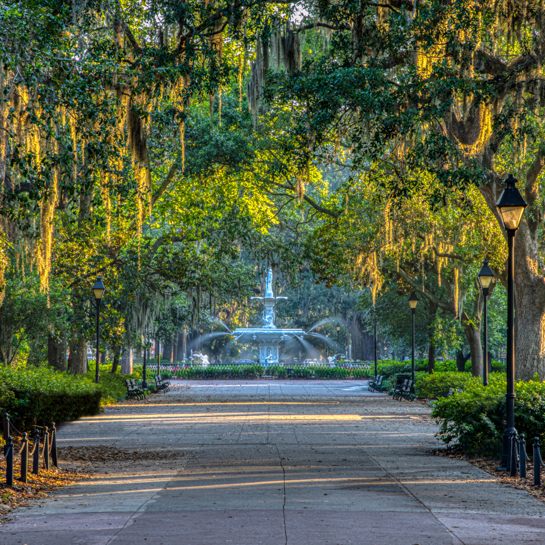 party of hive granola founded in savannah, georgia
